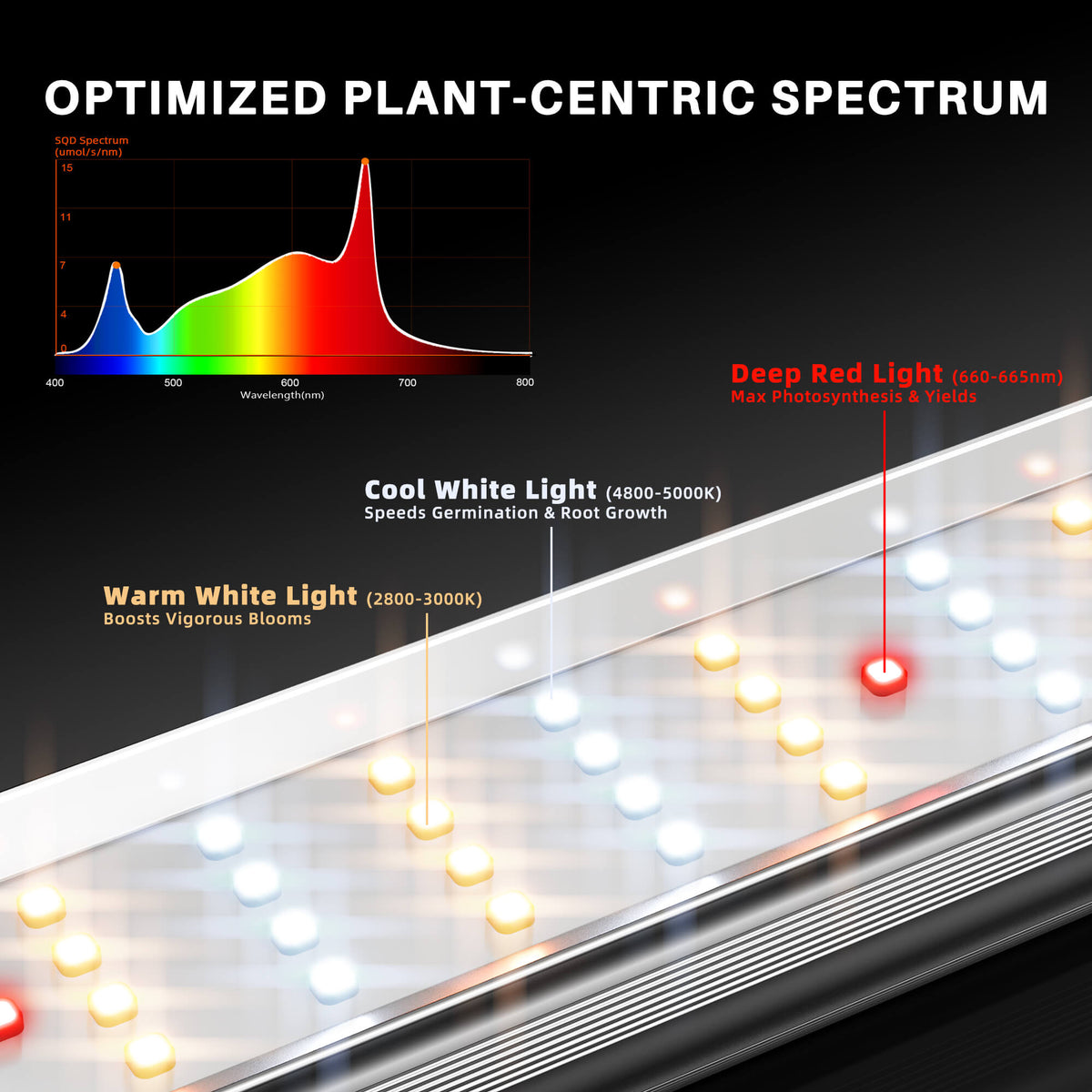 
                  
                    SE-7000 NEW | SE3000-SE7000-Spectrum.jpg
                  
                