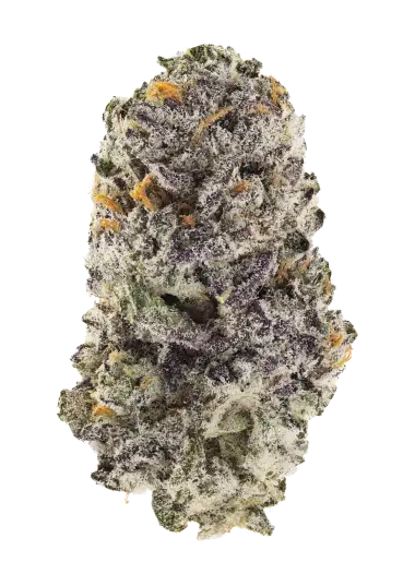 Z42 – 420 Fast Buds – Sortenabbildung