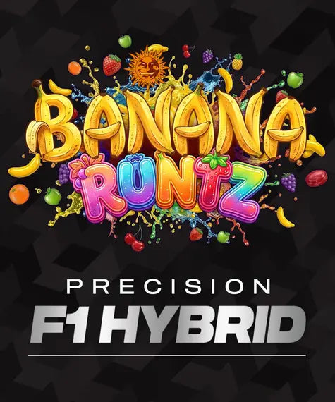 Banana Runtz – Barney’s Farm – Sortenabbildung