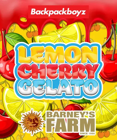 Lemon Cherry Gelato – Barney’s Farm – Sortenabbildung