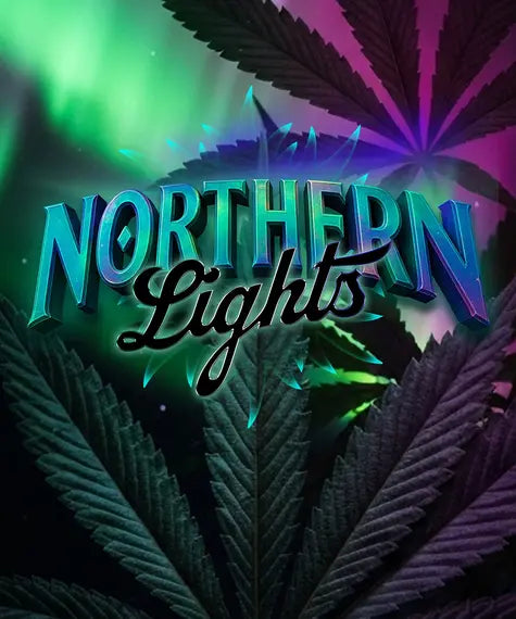 Northern Lights – Barney’s Farm – Sortenabbildung