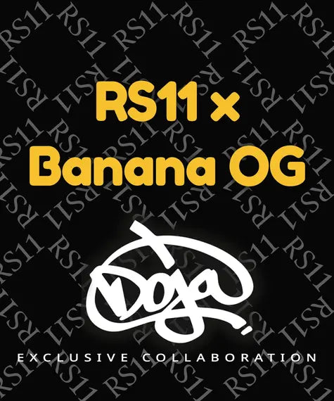 RS11 x Banana OG – Barney’s Farm – Sortenabbildung