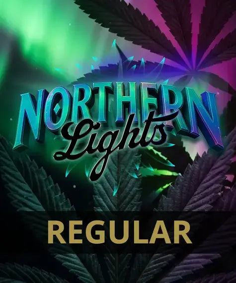 Northern Lights Regular – Barney’s Farm – Sortenabbildung