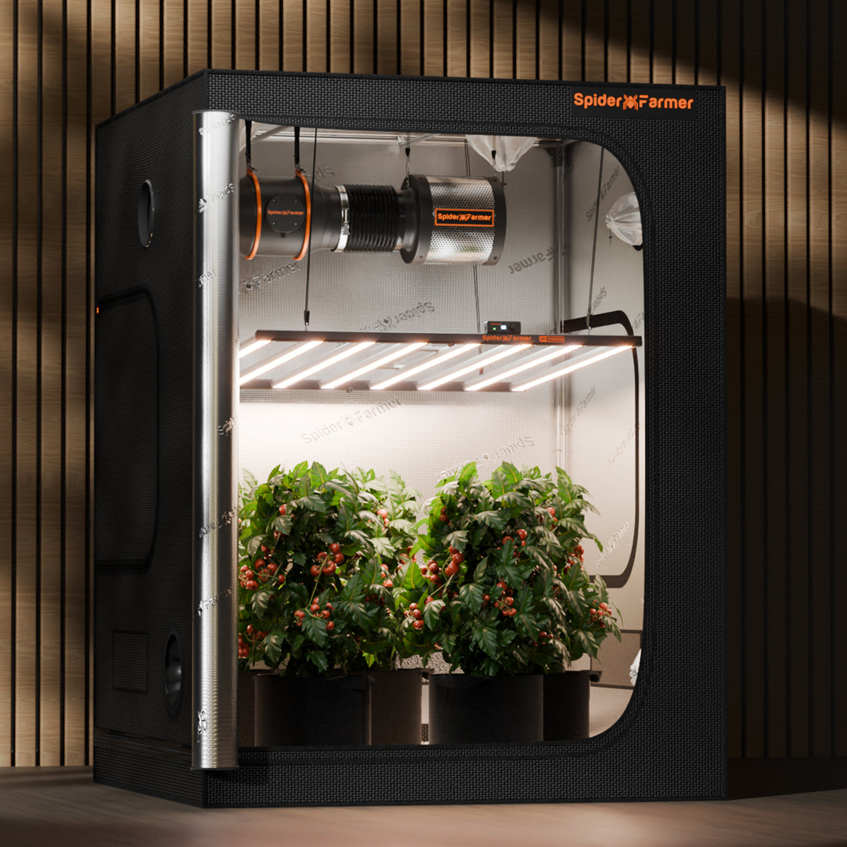 
                  
                    SF-G1000W | 2024-Newest-Version-Spider-Farmer-Dimmable-Foldable-Full-Spectrum-1000W-Led-Grow-Light-G-Series-G1000W-For-Home-Grow_2.jpg
                  
                