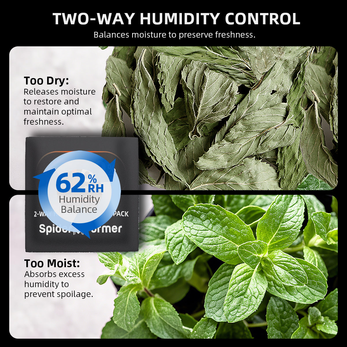 
                  
                    Spider Farmer 62% RH 8g 2-Way Humidity Control Packs | 10 Packs | Each for Storing 1 oz | Moisture Balance for Herbs, Cigar, Food & Wood Products Fresh Storage | Great for Small Storage Containers, Mason jars
                  
                