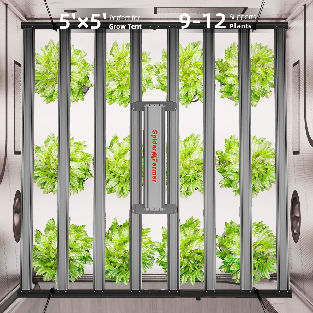 
                  
                    Spider Farmer® Automatisiertes Growbox-Komplettset – 150×150×200 cm für 9 Pflanzen | G1000W Vollspektrum-LED-Pflanzenlampe | 6″ Clip-Ventilator | 6″ Belüftungssystem mit GGS-Klimacontroller
                  
                