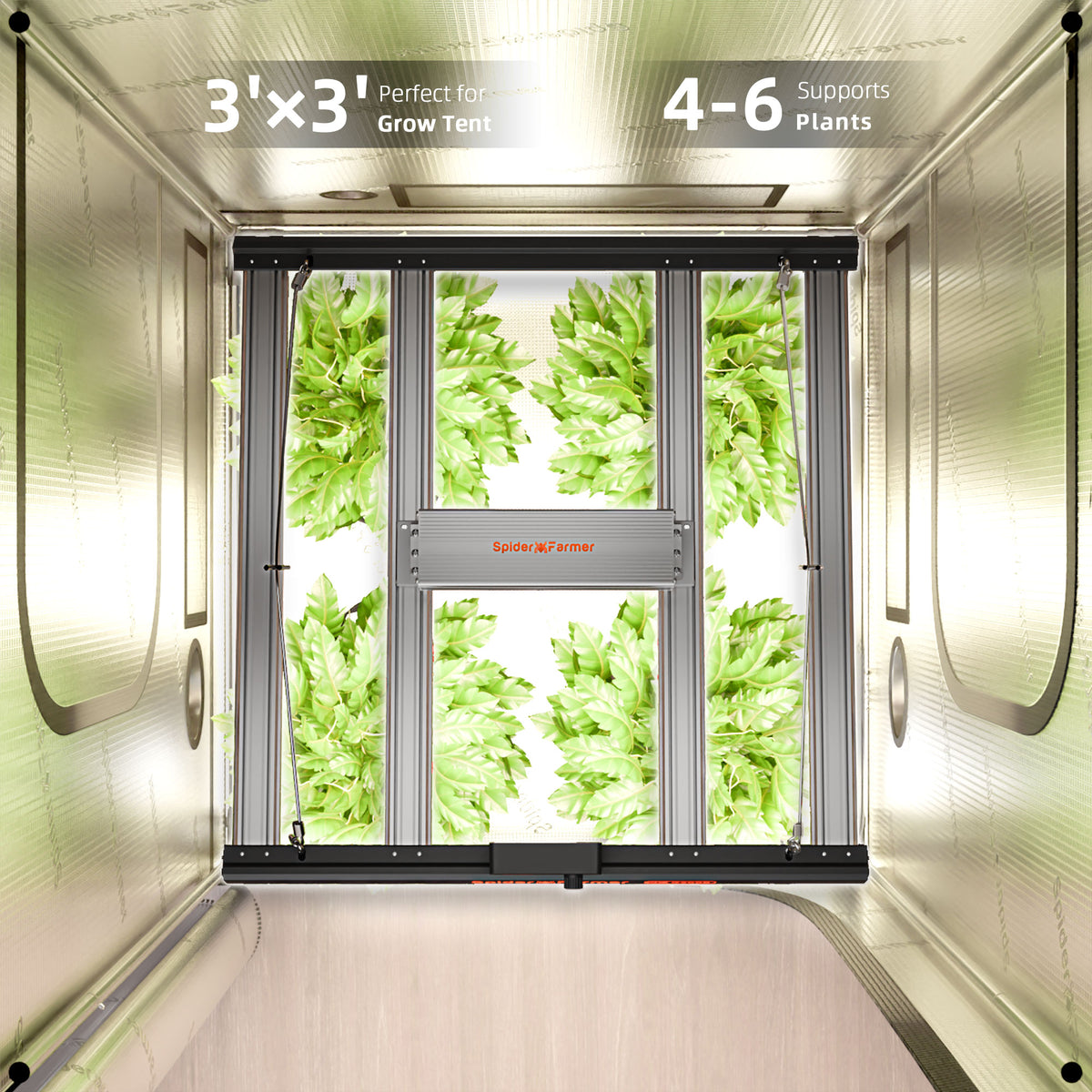 
                  
                    Spider Farmer® 90x90x180cm Complete Grow Tent Kit丨G3000 WiFi & Bluetooth App-Controlled LED Grow Light丨6” Clip Fan丨4” Ventilation System with Speed Controller
                  
                