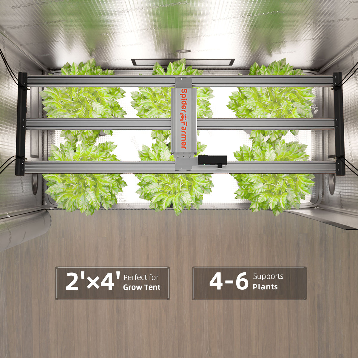 
                  
                    Spider Farmer® 140x70x200cm Komplettes Grow Box-Set丨Neueste Version G4500 320W Vollspektrum-LED
                  
                