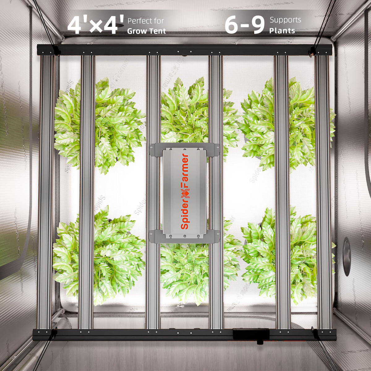 
                  
                    Spider Farmer® Automatisiertes Growbox-Komplettset – 120×120×200 cm für 6 Pflanzen | G5000 480W Vollspektrum-LED-Pflanzenlampe
                  
                