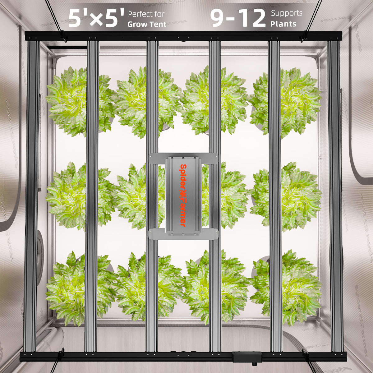 
                  
                    Spider Farmer® Automatisiertes Growbox-Komplettset – 150×150×200 cm für 9 Pflanzen | G8600 800W Vollspektrum-LED-Pflanzenlampe | 6″ Clip-Ventilator | 6″ Belüftungssystem mit GGS-Klimacontroller
                  
                