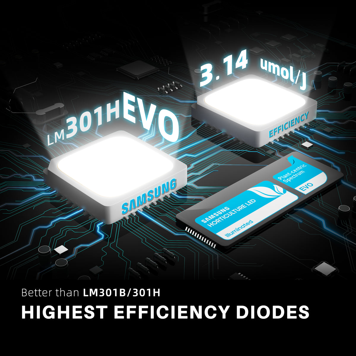 
                  
                    SE-3000 NEW | New-SE3000-Samsung-LM301H-EVO-diodes.jpg
                  
                