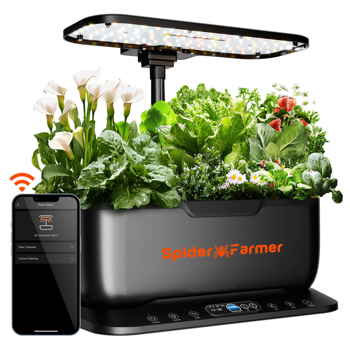 
                  
                    SF-smartG12-New | Spider-farmer-smart-g12-Hydroponics-Growing-System-indoor-garden-light.jpg
                  
                