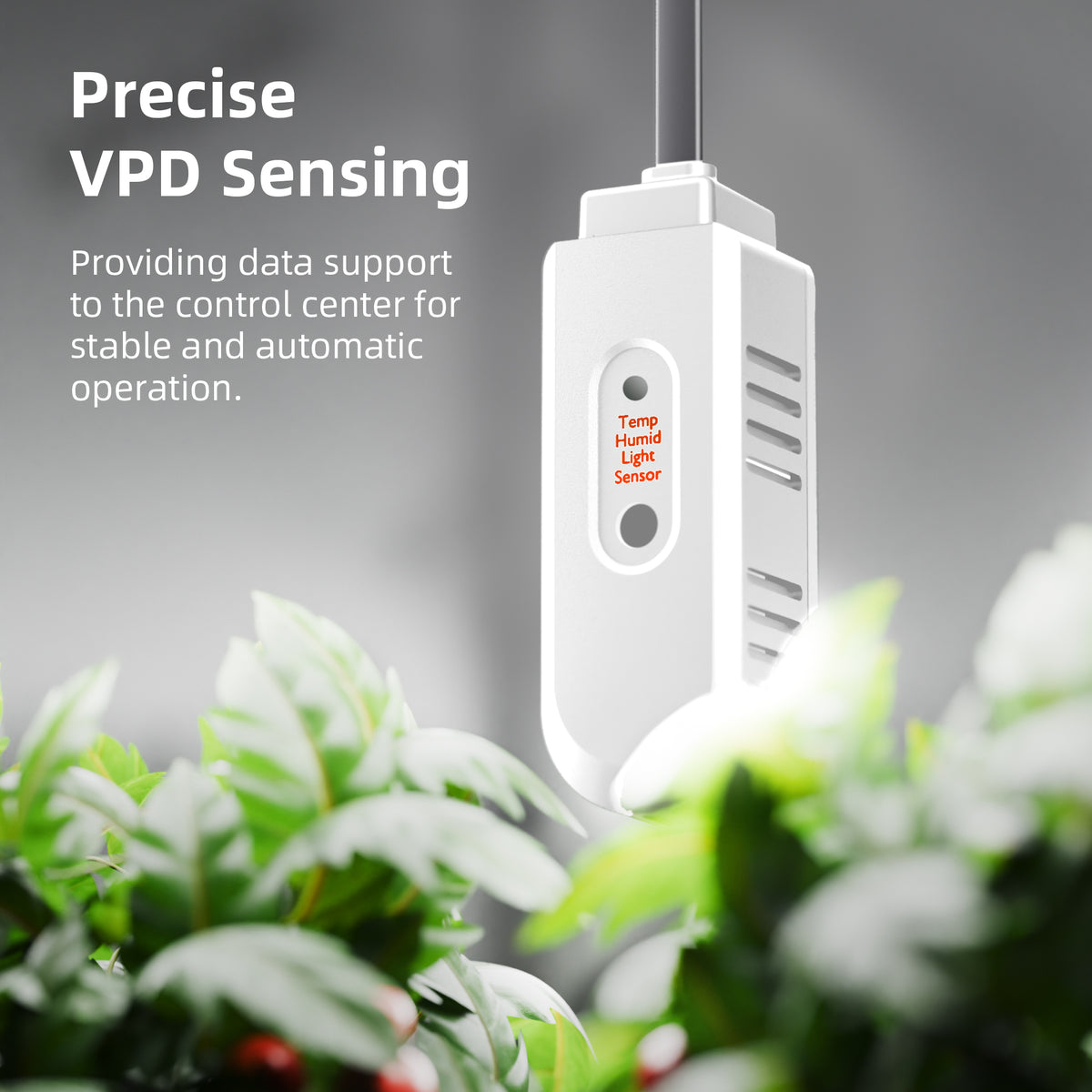 
                  
                    Free AC5 Kits丨Spider Farmer®GGS AC5 Power Strip Kits, With App Smart Controls Complete Grow Tent Kit丨SF4000 301H EVO LED丨6” Clip Fan丨6” Fan Kits
                  
                