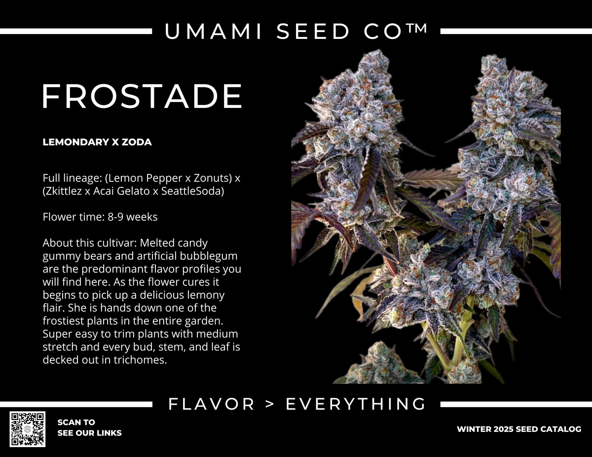 
                  
                    Umami Seed.co - Frostade
                  
                
