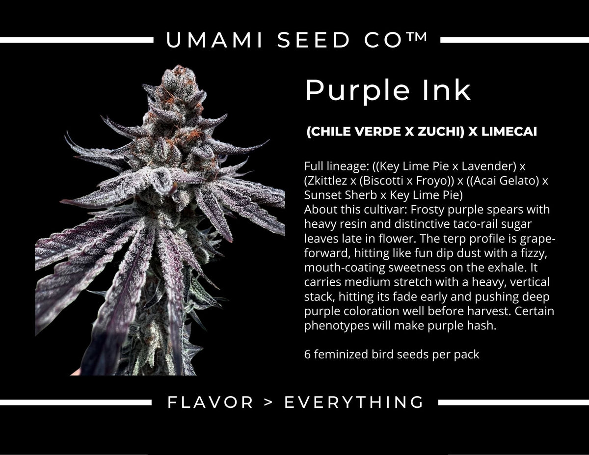 
                  
                    Umami Seed.co - Purple Ink
                  
                