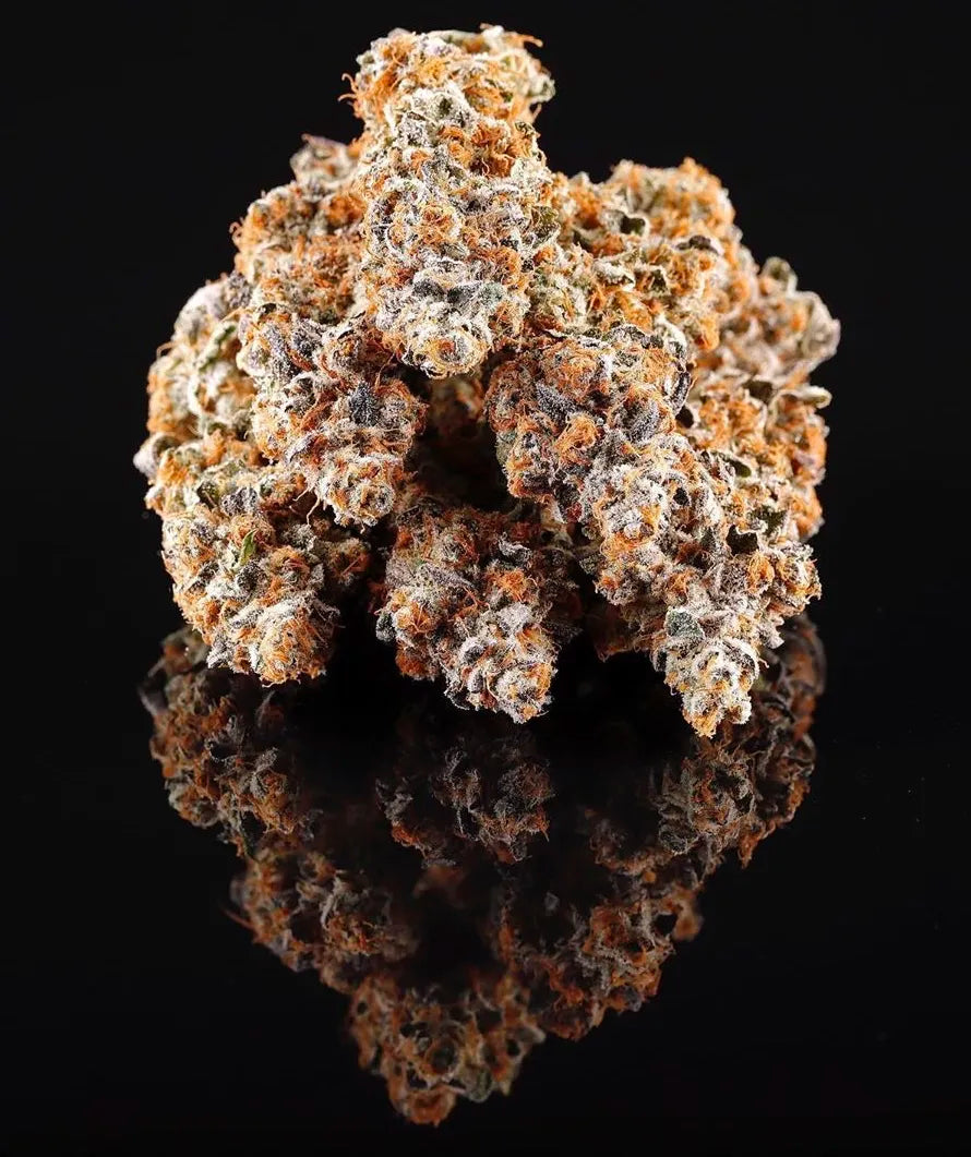 
                  
                    Compound Genetics - La Bomba
                  
                