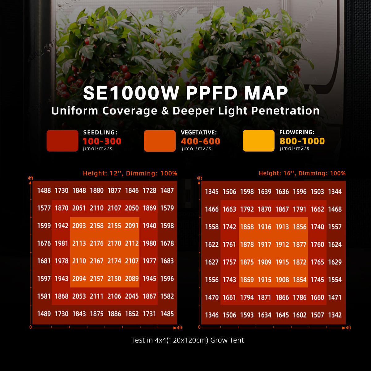 
                  
                    Spider Farmer 150x150cm Complete Grow Tent Kit I SE1000W LED Grow Light I 6-Inch Inline Fan with GGS Controller Kits
                  
                