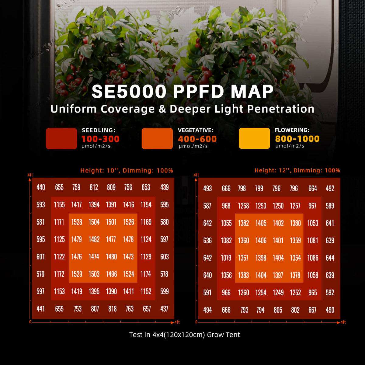 
                  
                    Spider Farmer® 120x120x200 cm Komplettes Grow-Zelt-Set丨SE5000 EVO 480W LED-Pflanzenlampe丨6″ Belüftungssystem mit Temperatur- und Feuchtigkeitsregler
                  
                