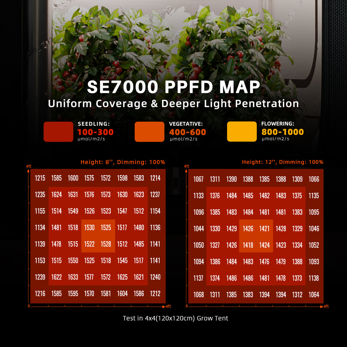 
                  
                    Spider Farmer 150x150cm Complete Grow Tent Kit I SE7000 730W LED Grow Light I New 6″ Inline Fan with GGS Controller Growbox Komplettset
                  
                
