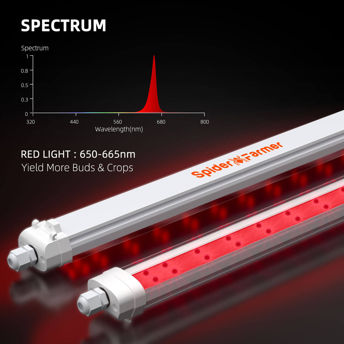 
                  
                    Spider Farmer® GlowR40 Deep Red Spectrum 660nm Supplemental LED Grow Light
                  
                