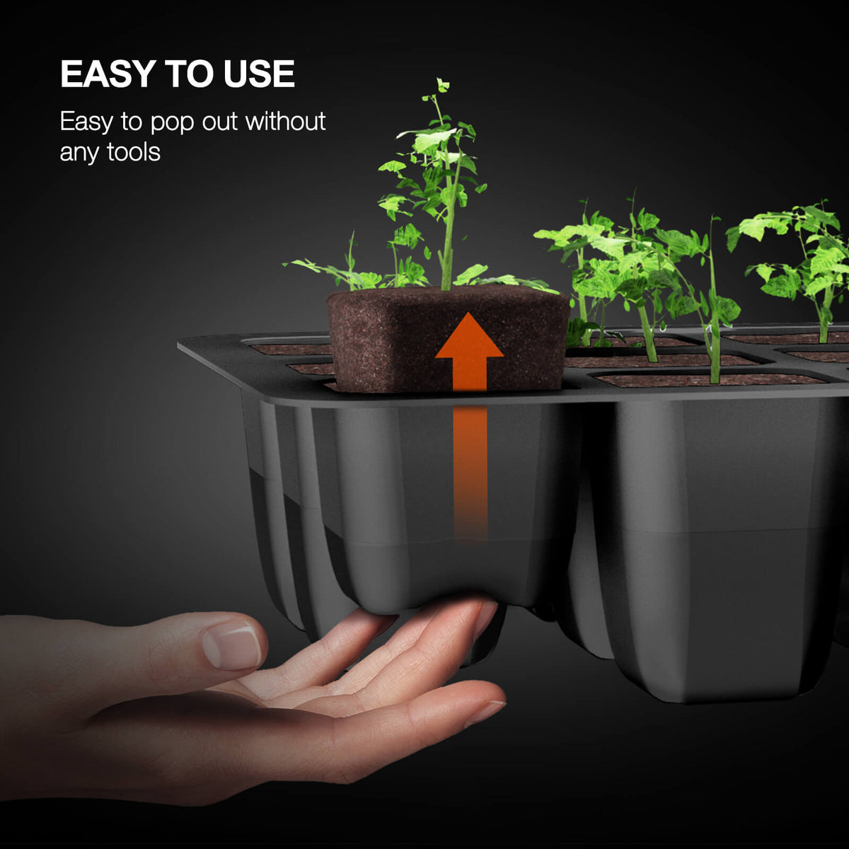 
                  
                    4-Pack Seed Starter Trays with Dome – Germination Kit for Seedlings, Herbs, Vegetables, and Mushrooms
                  
                