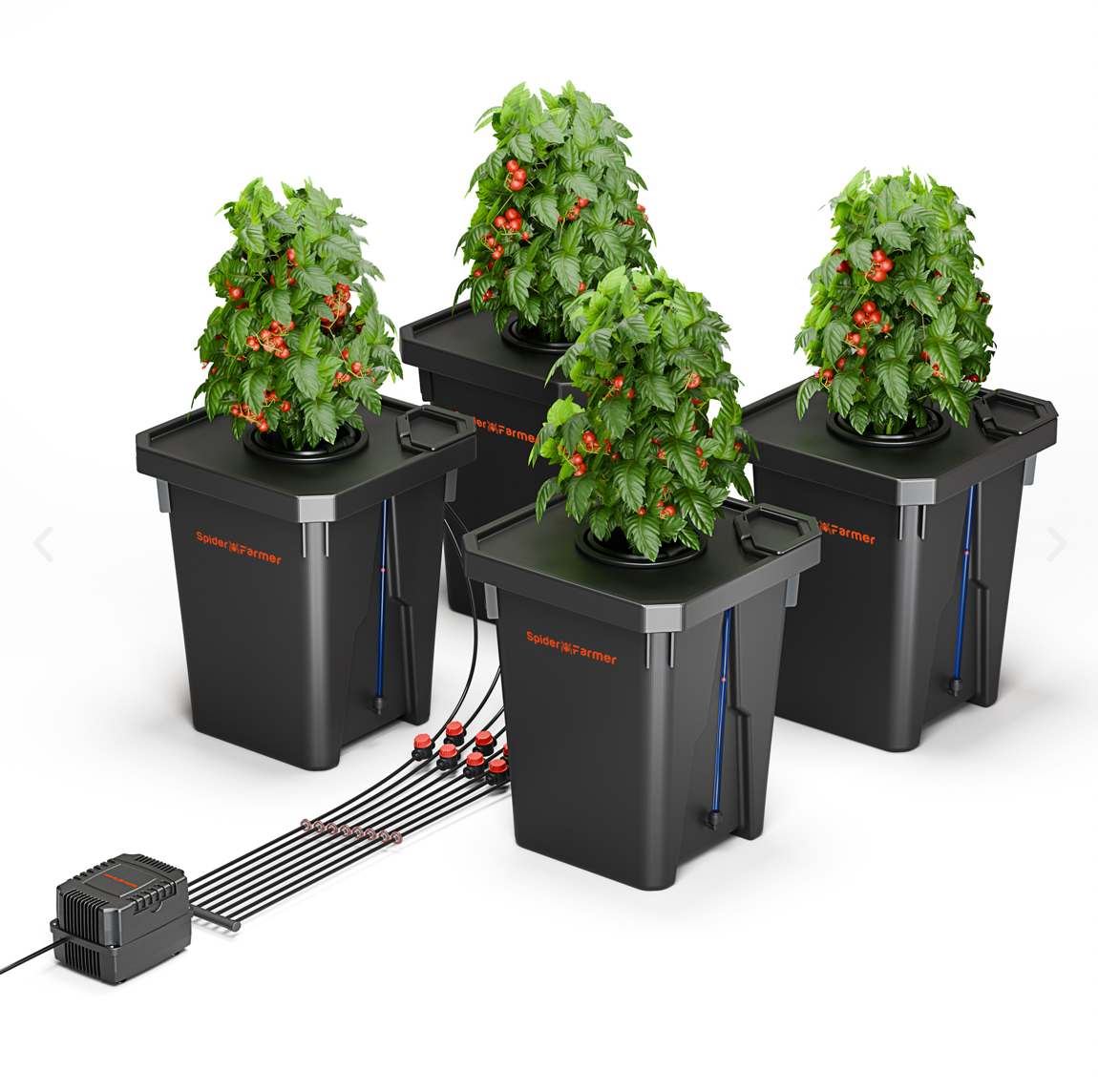 Systeme