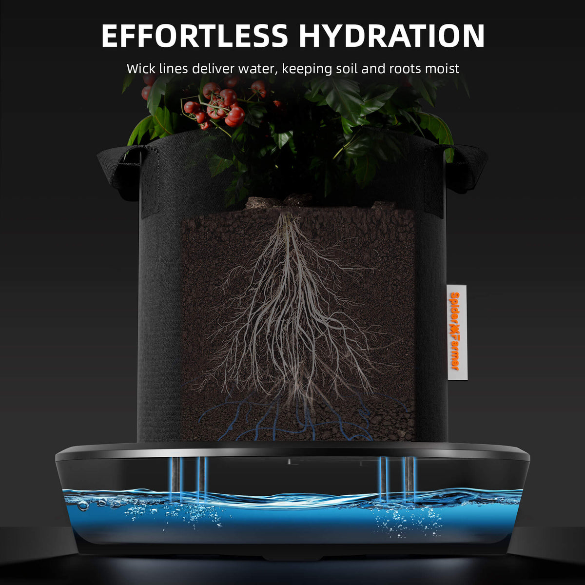 
                  
                    Spider Farmer 3-Pack Gravity-Fed Silent Self-Watering System Kits – No Pump, For Indoor Grow Tents & Greenhouses (Schwerkraft-Bewässerung, Leise)
                  
                