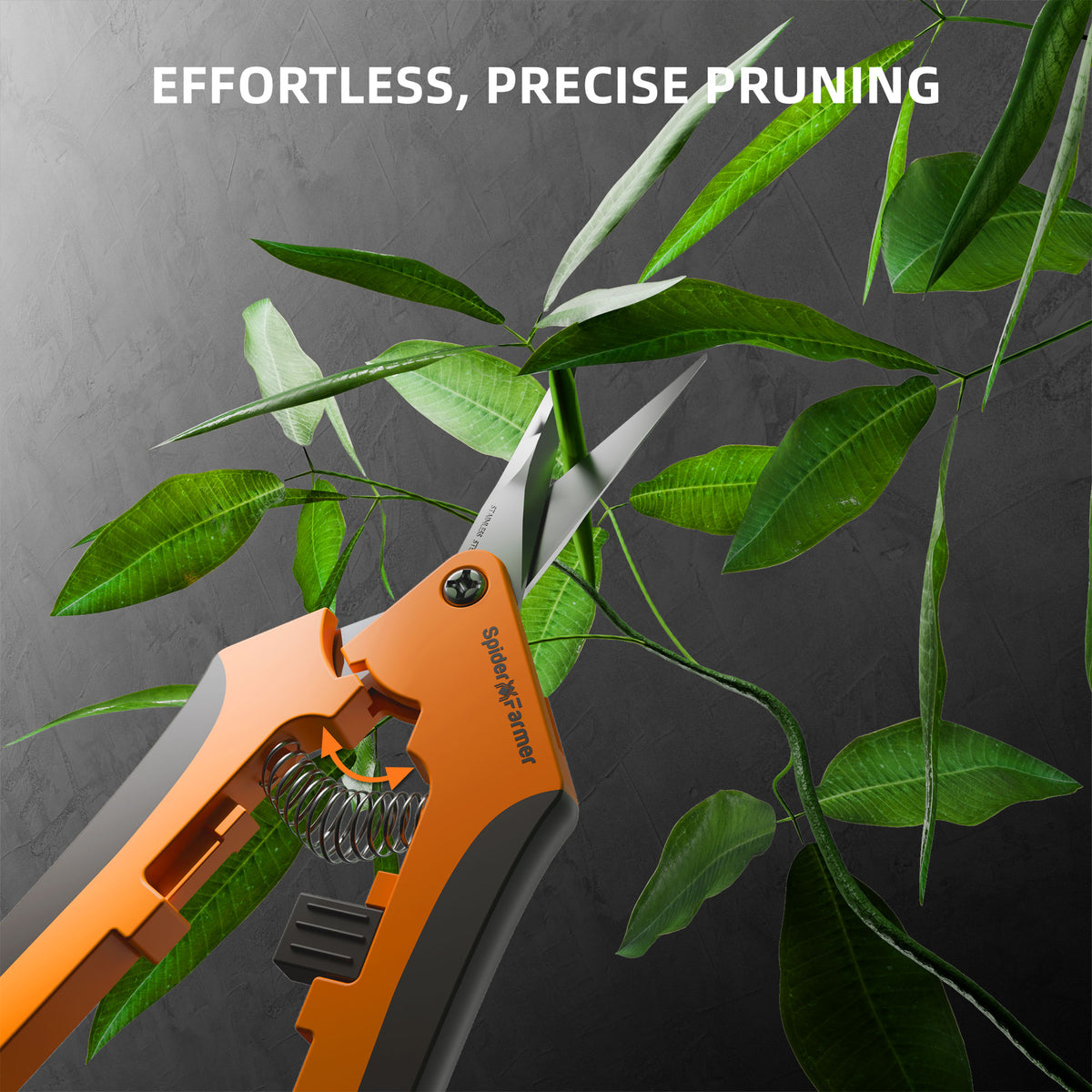 
                  
                    Spider Farmer 9-in-1 Werkzeugsatz Plant Grow Tools Kit
                  
                