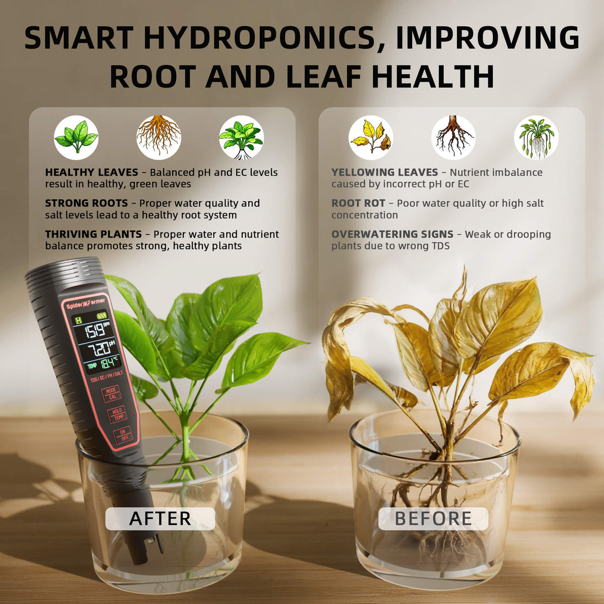 
                  
                    Spider Farmer® 5-in-1 pH Hydroponic Meter Kit
                  
                