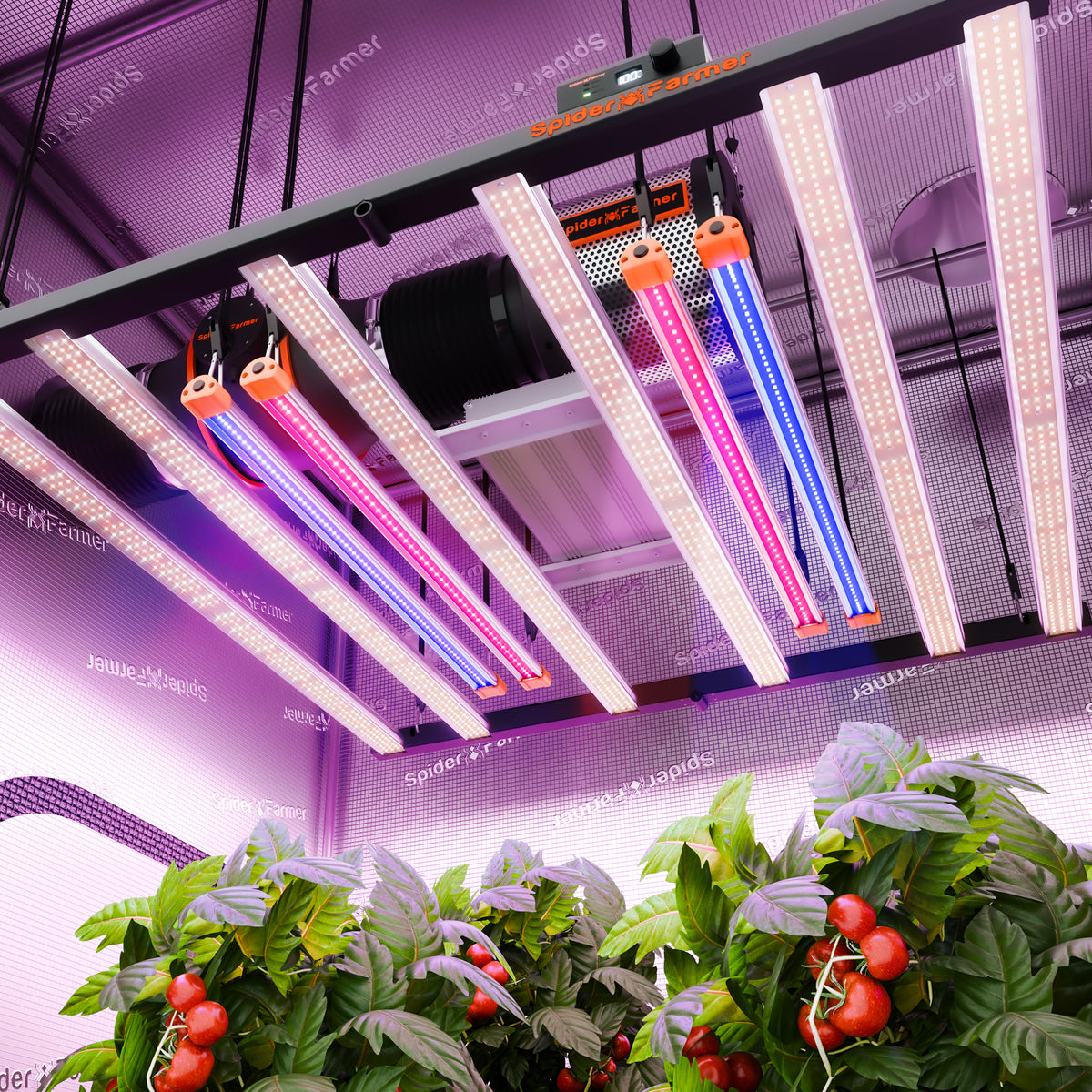 
                  
                    Spider Farmer UV30 & IR16 LED Grow Light Bars Set (60cm) – Upgraded UV & Infrared Supplement for Plants
                  
                
