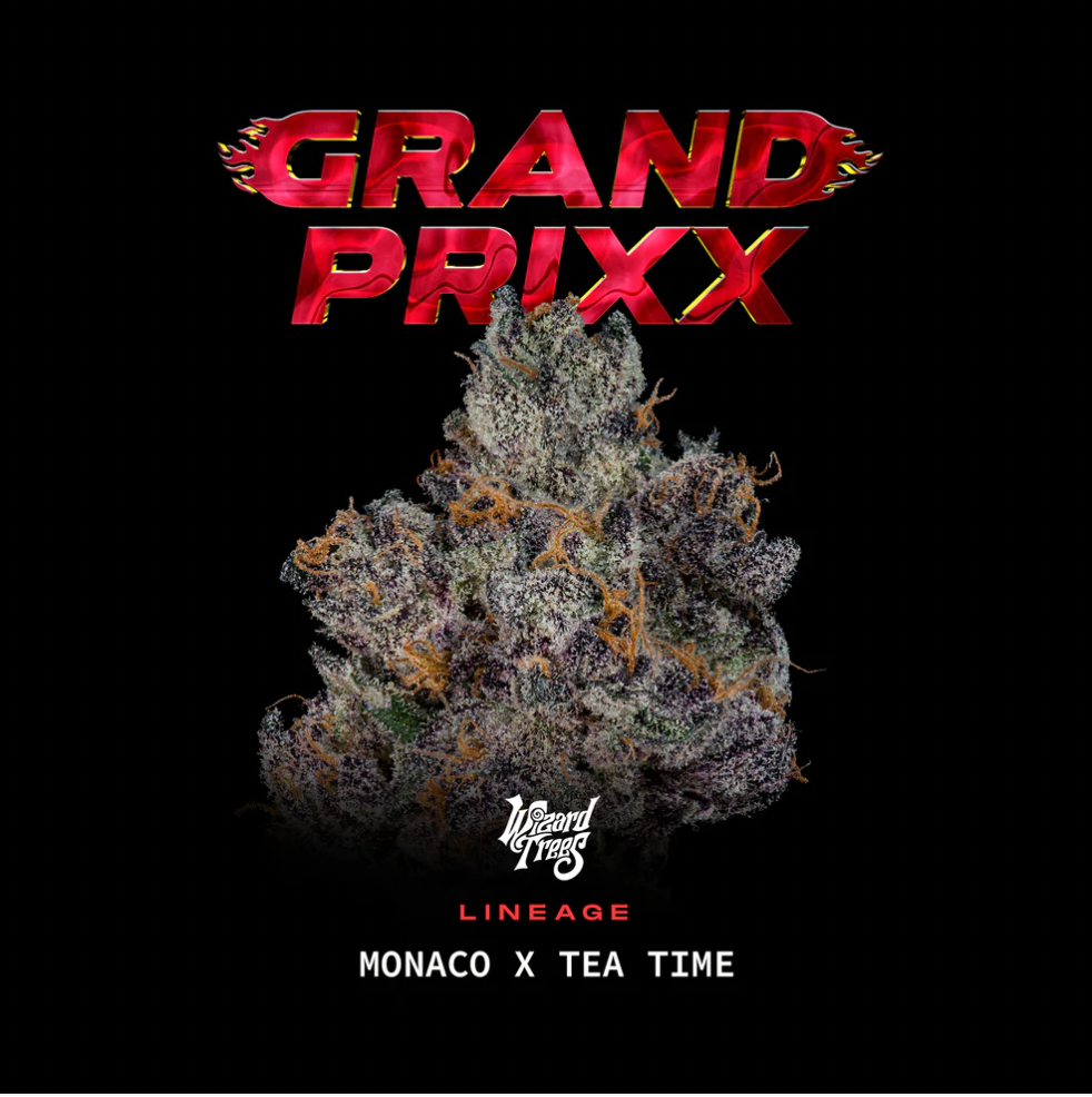 
                  
                    Wizard Treez - Grand Prixx
                  
                