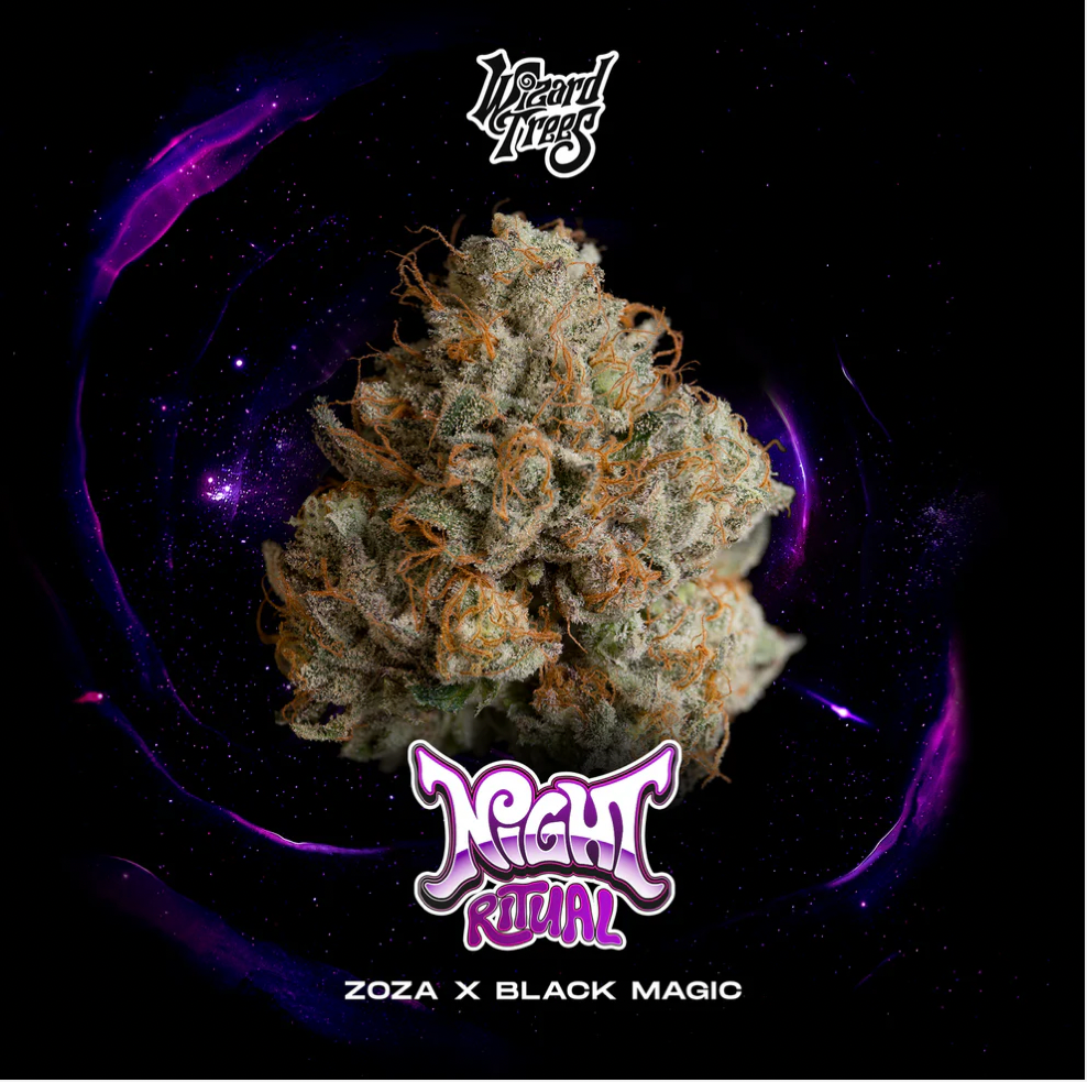 
                  
                    Wizard Treez - Night Ritual
                  
                
