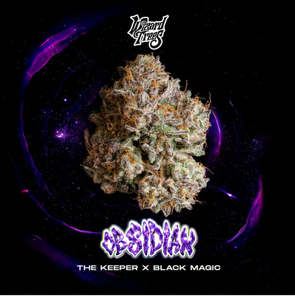 
                  
                    Wizard Treez - Obsidian
                  
                
