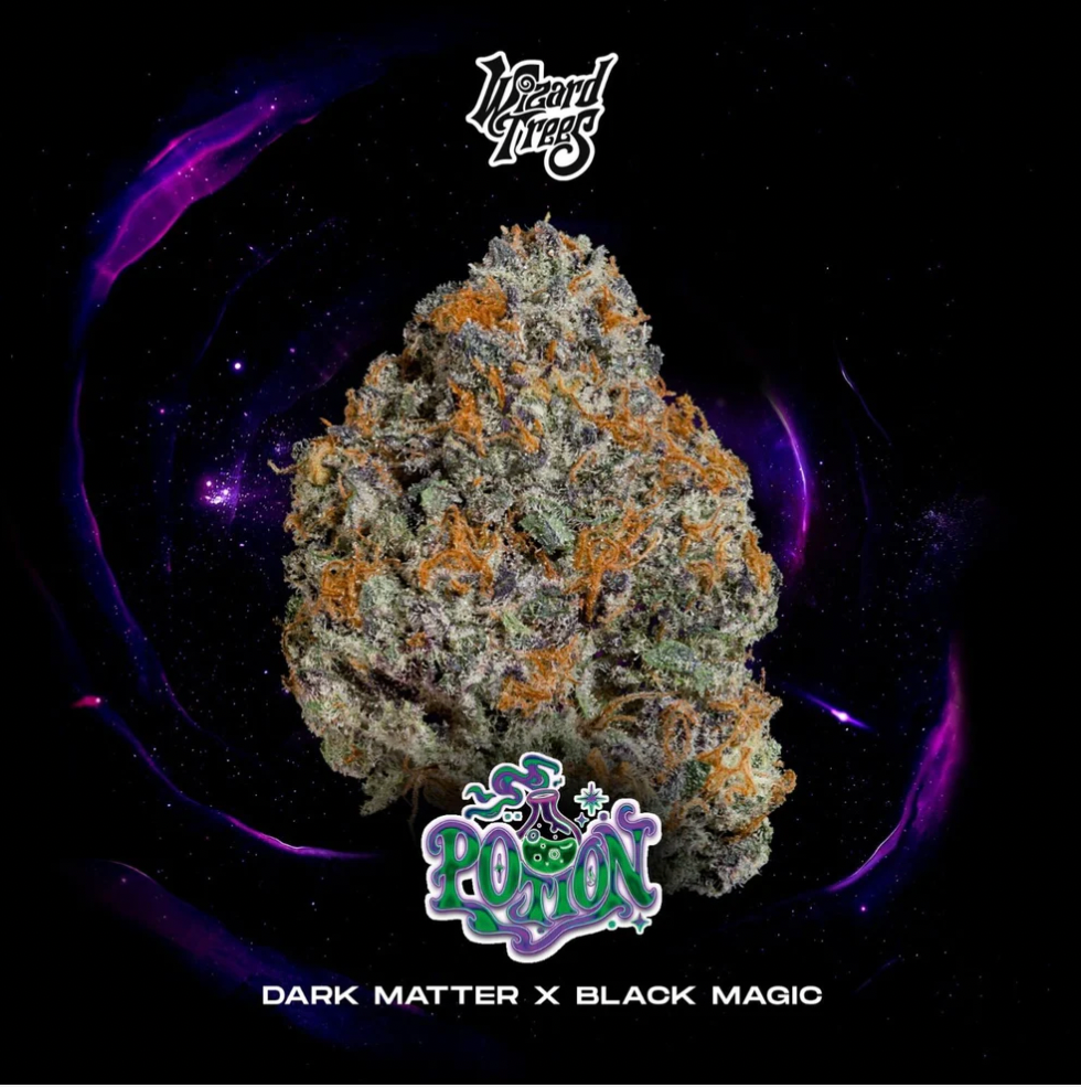 
                  
                    Wizard Treez - Potion
                  
                