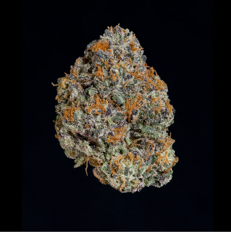 
                  
                    Wizard Treez - Potion
                  
                
