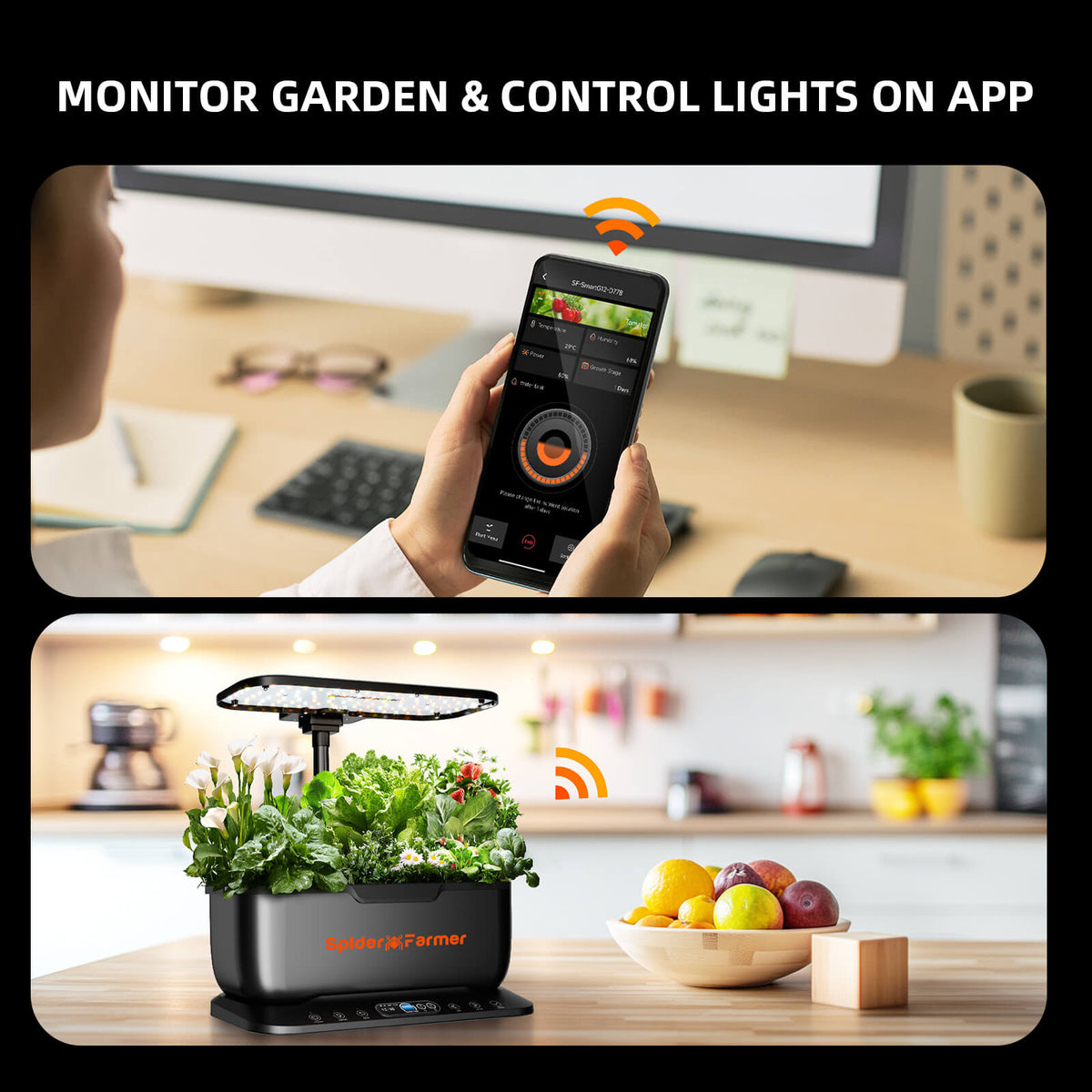 
                  
                    SF-smartG12-New | Spider-farmer-smart-g12-Hydroponics-Growing-System-indoor-garden-light-3.jpg
                  
                