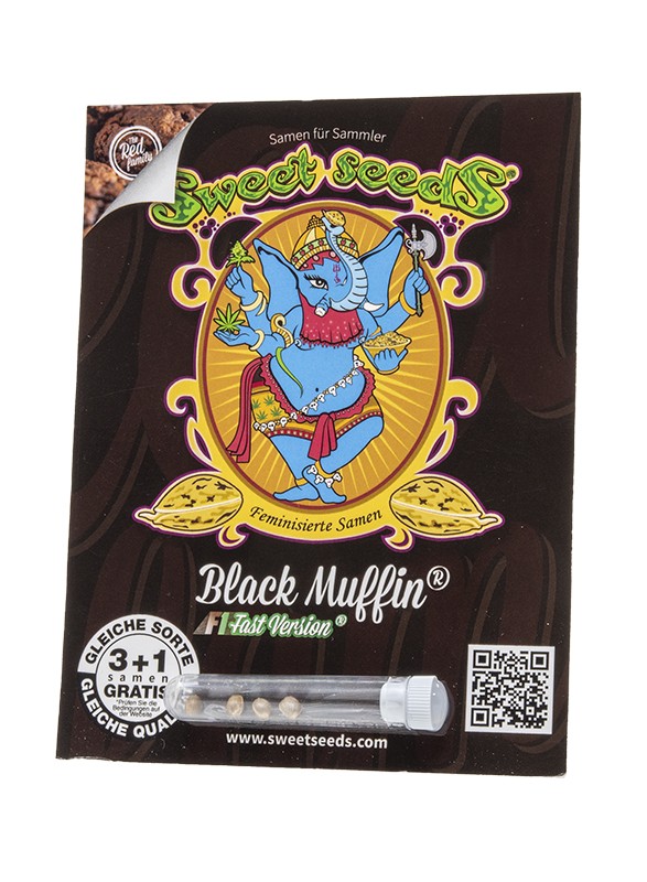 
                  
                    Sweetseeds - Black Muffin F1 Fast Version®
                  
                