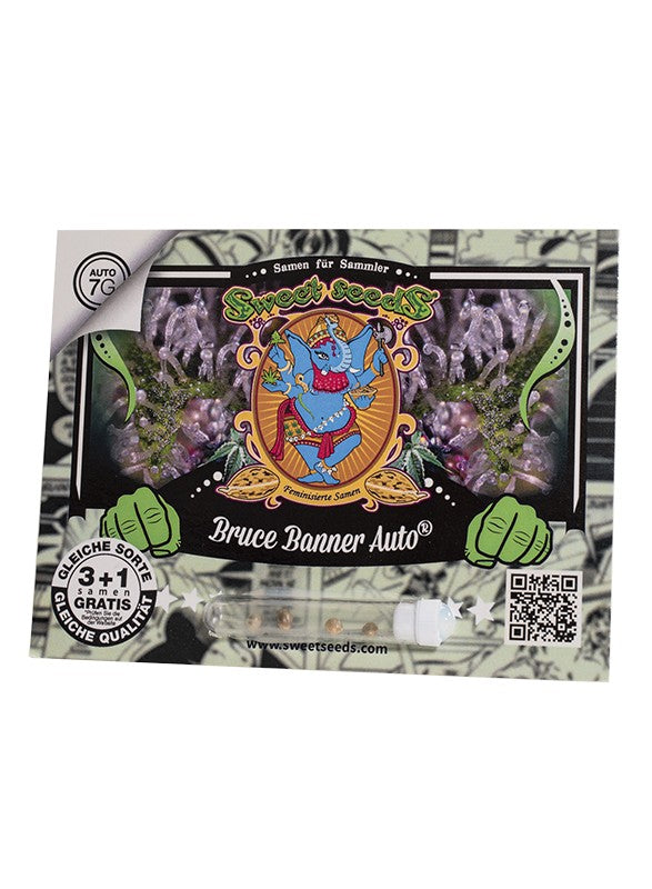 
                  
                    Bruce Banner Auto®
                  
                
