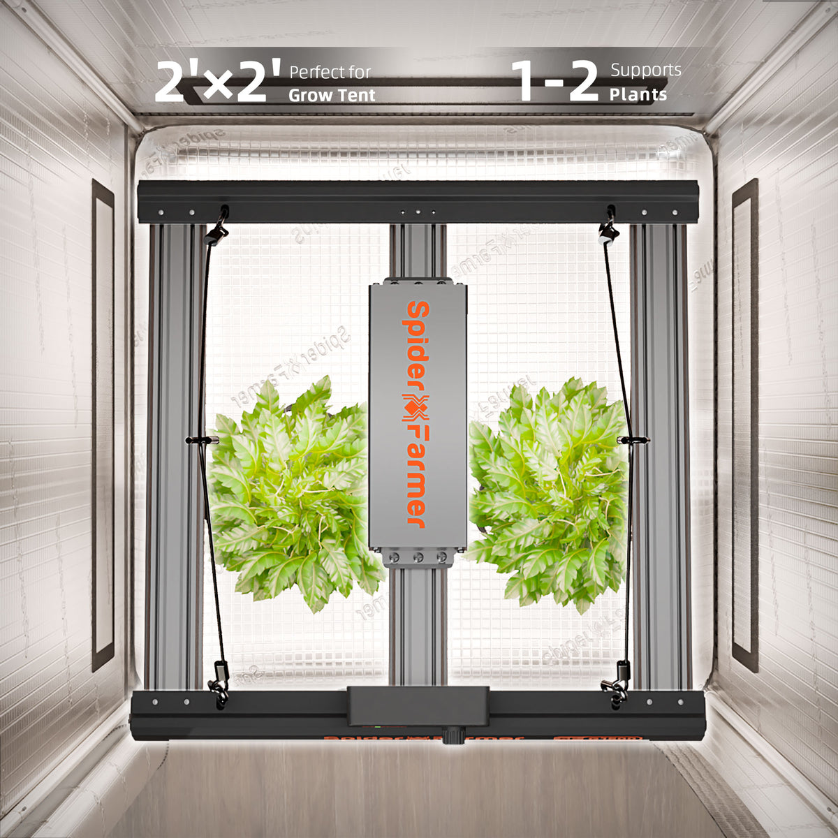 
                  
                    SF-G1500 | 2024-Newest-Version-Spider-Farmer-Dimmable-Foldable-Full-Spectrum-150W-Led-Grow-Light-G-Series-G1500-for-2X2-1.jpg
                  
                