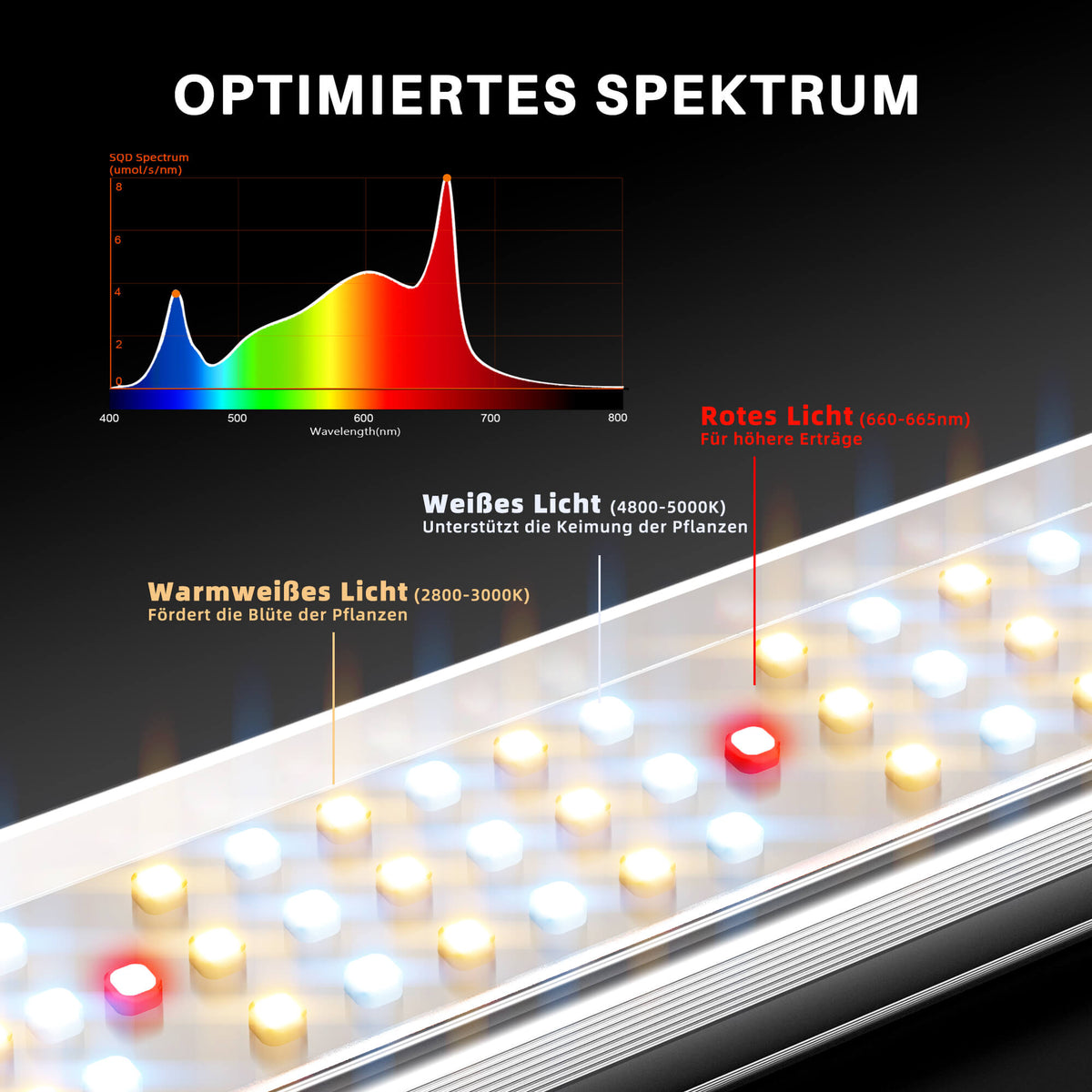 
                  
                    SE-3000 NEW | SE3000-Optimales-Spektrum-DE.jpg
                  
                