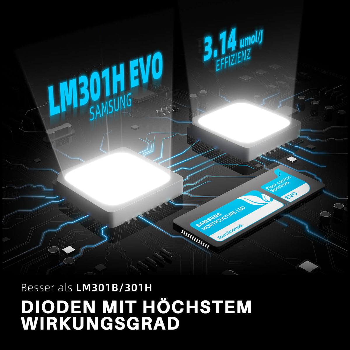
                  
                    SF-2000PRO | Samsung-lm301H-EVO-led-grow-light.jpg
                  
                