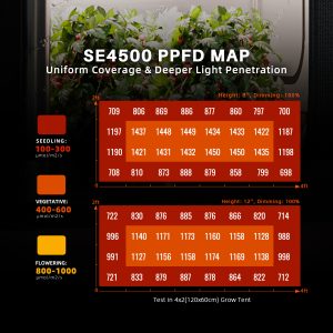 
                  
                    SE-4500 NEW | NEW-SE4500-320W-PPFD-MAP-300x300.jpg
                  
                