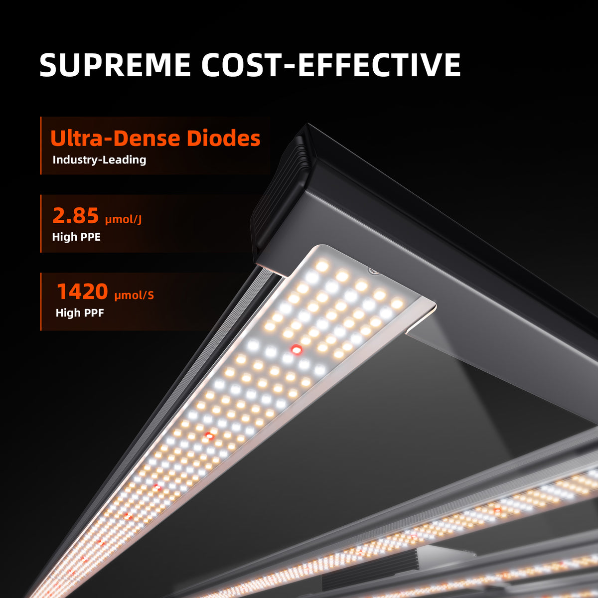 
                  
                    SF-G5000 | 2024-Newest-Version-Spider-Farmer-Dimmable-Foldable-Full-Spectrum-480W-Led-Grow-Light-G-Series-G5000-Cost-Effective-Ultra-Dense-Diodes.jpg
                  
                