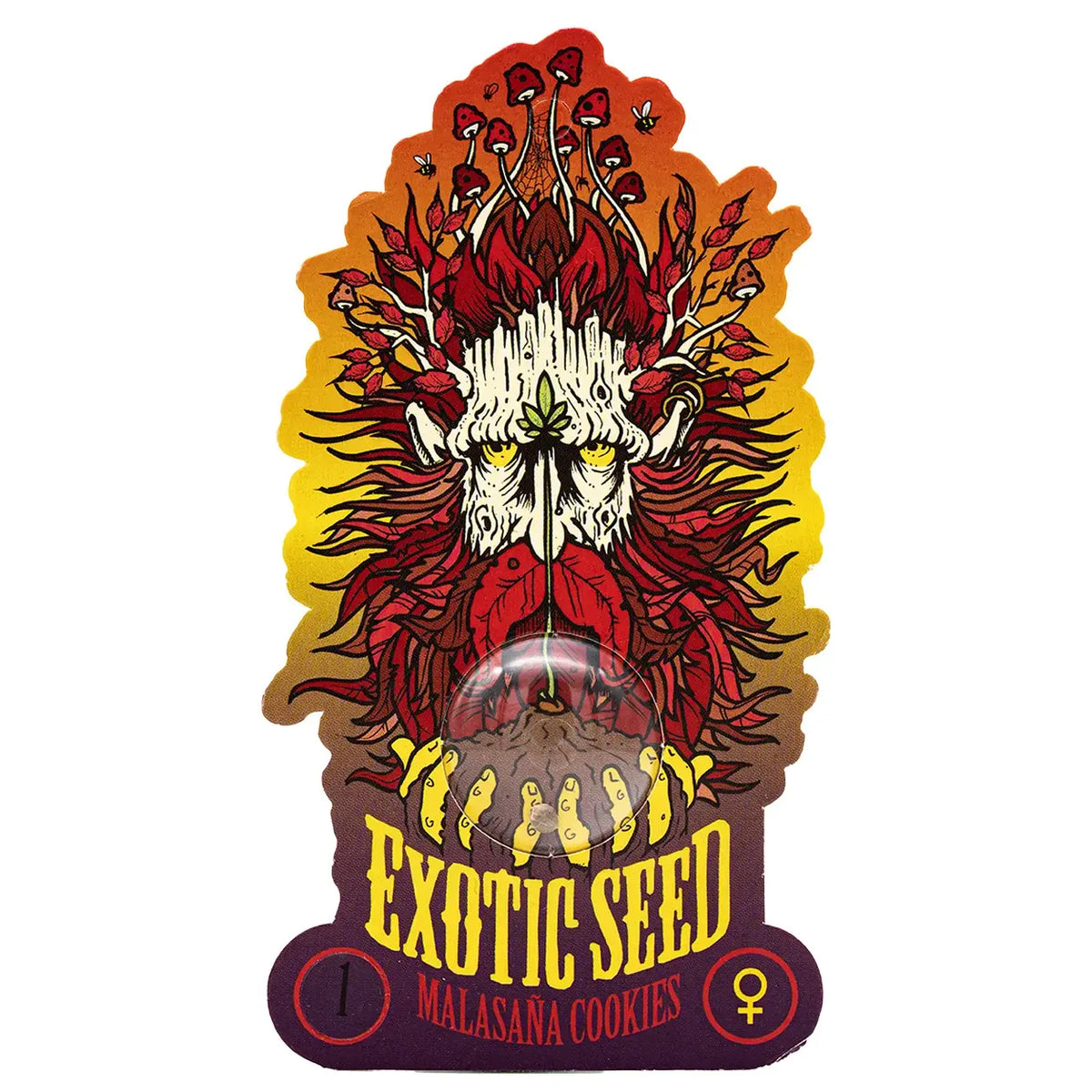 
                  
                    Exotic Seed - MALASANA COOKIES - Feminsiert
                  
                