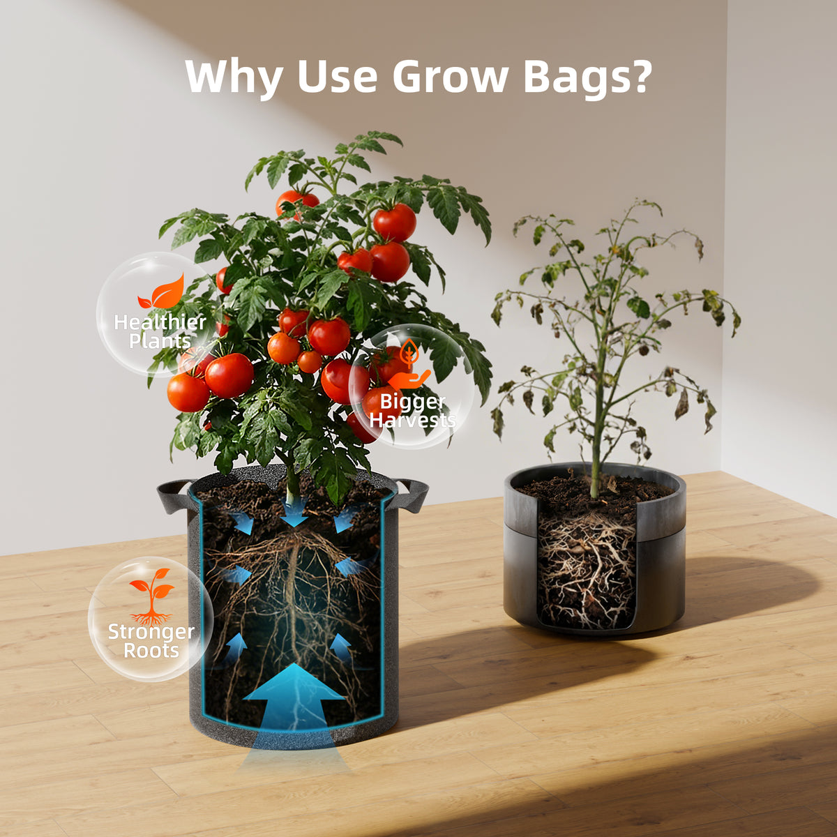 
                  
                    5-Pack 20L Fabric Grow Bags – Breathable & Reusable Plant Pots for Tomatoes & Herbs（ Pflanzsäcke mit Griffe aus Filzstoff Pflanze Grow Bag für Tomaten, Gemüse, – 5 Gallonen）
                  
                