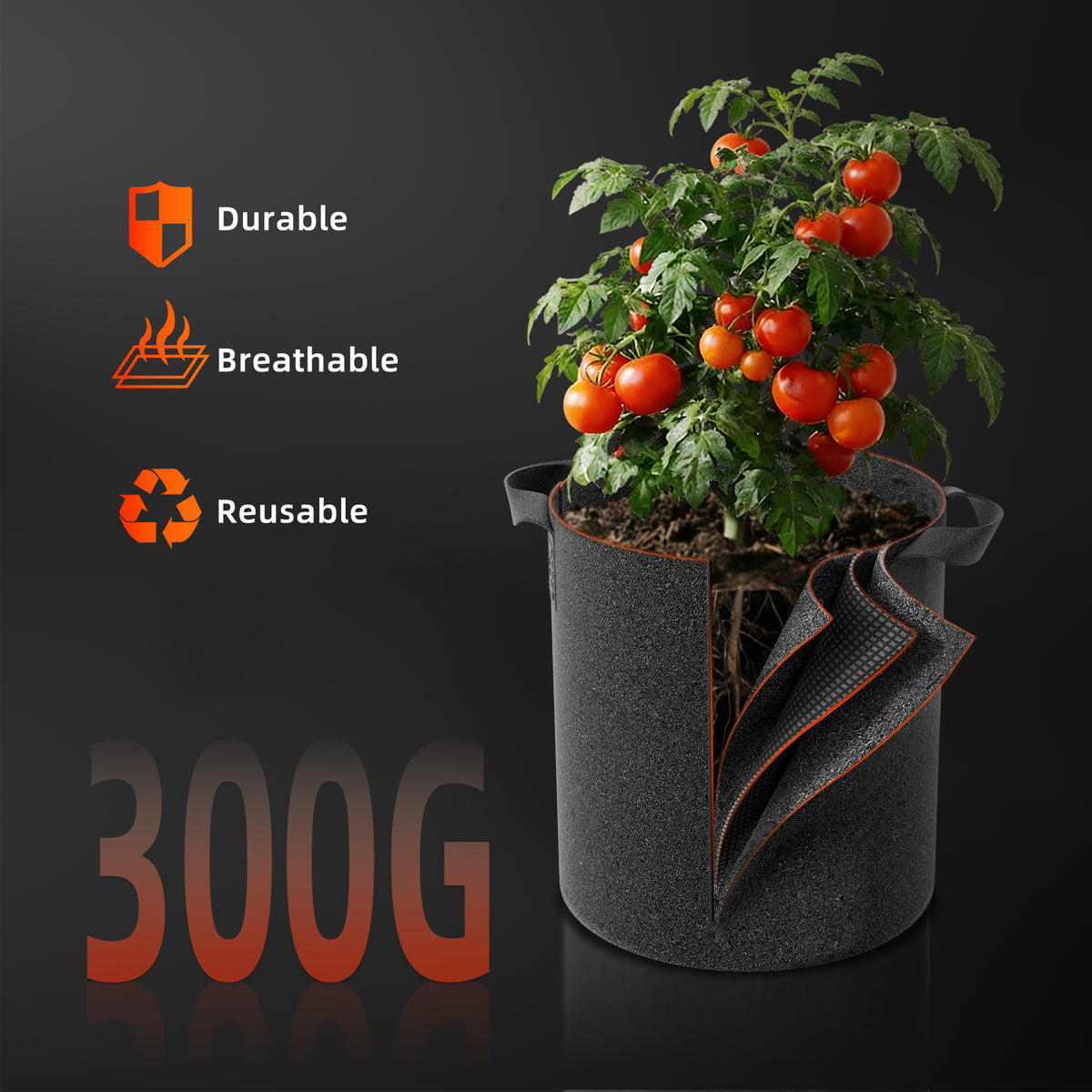 
                  
                    5-Pack 40L Fabric Grow Bags – Breathable & Reusable Plant Pots for Tomatoes & Herbs（ Pflanzsäcke mit Griffe aus Filzstoff Pflanze Grow Bag für Tomaten, Gemüse, 10 Gallonen）
                  
                