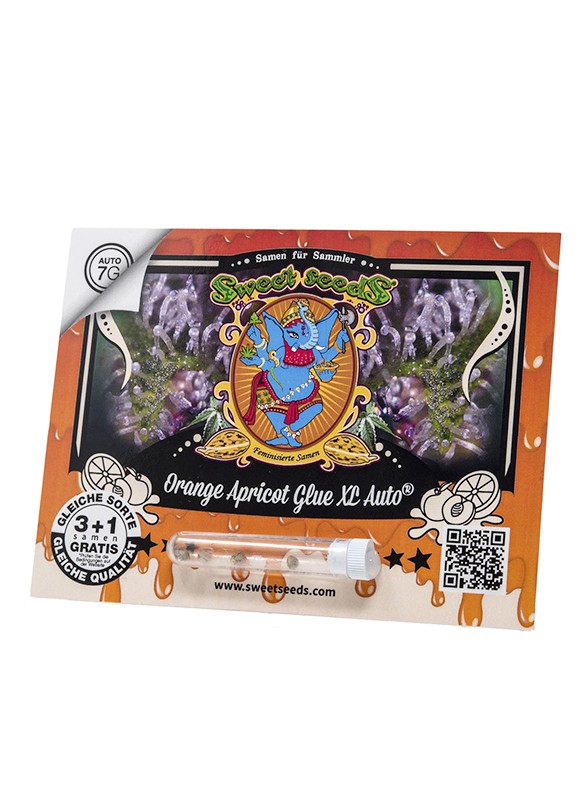 
                  
                    Orange Apricot Glue XL Auto®
                  
                