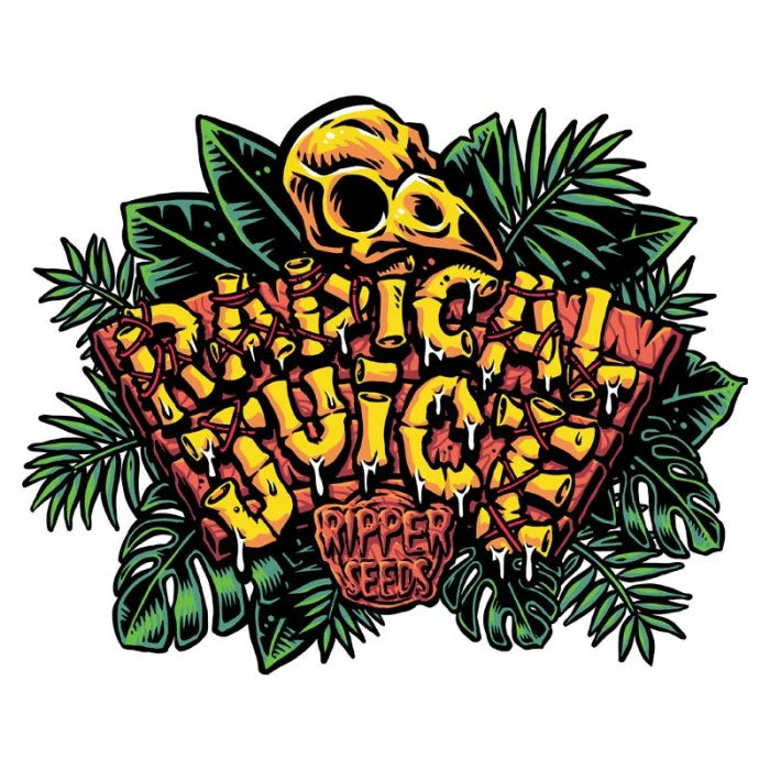 
                  
                    Ripper Seeds - RADICAL JUICE - Automatic
                  
                