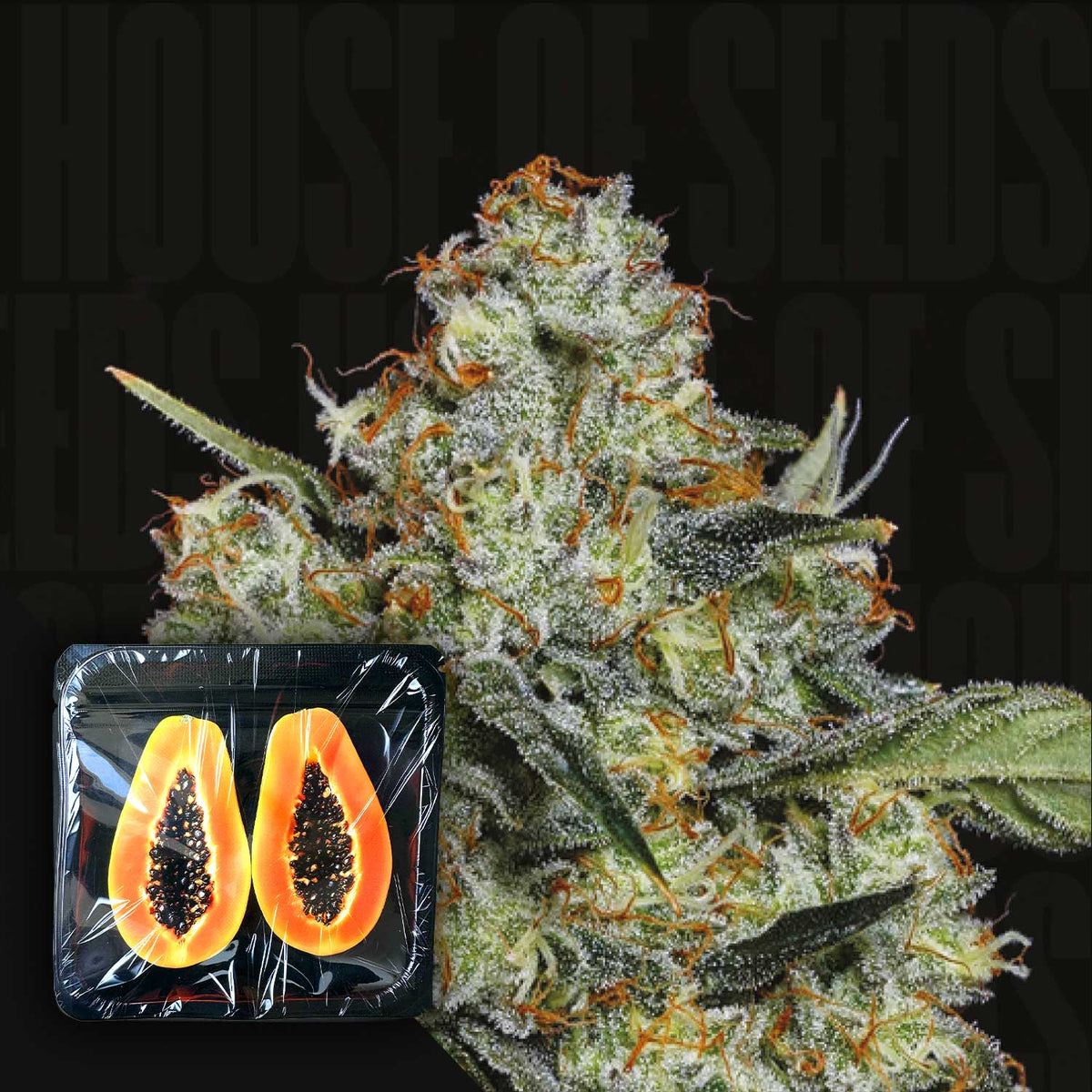 Nine Weeks Harvest - Dulcedegas