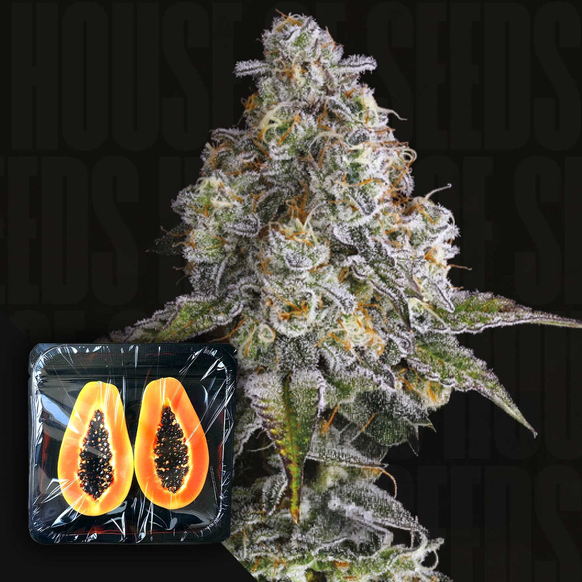 Nine Weeks Harvest - Drip District